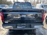 New 2025 Ford F150 XLT w/ Equipment Group 303A High image 3