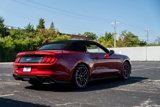 Used 2021 Ford Mustang GT Premium w/ Equipment Group 401A image 4