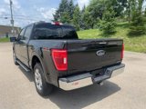 Certified 2022 Ford F150 XLT w/ Equipment Group 302A High image 2
