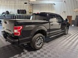 Used 2020 Ford F150 XLT w/ Equipment Group 302A Luxury image 5