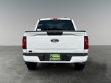New 2025 Ford F150 STX image 6