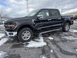 New 2025 Ford F150 XLT w/ Equipment Group 302A MID image 3