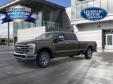 New 2025 Ford F350 Lariat w/ Chrome Package image 2