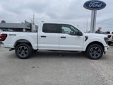 New 2025 Ford F150 STX w/ Equipment Group 200A image 3