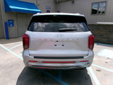Used 2024 Hyundai Palisade Calligraphy image 4
