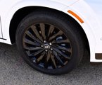 New 2025 Hyundai Palisade Calligraphy image 6