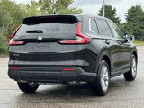 Used 2025 Honda CR-V EX-L image 5