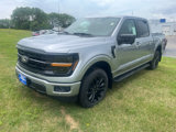 New 2025 Ford F150 XLT w/ Equipment Group 302A MID image 4