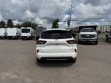 Used 2024 Ford Escape ST-Line w/ Tech Pack #1 image 5