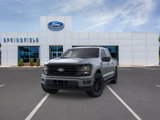 New 2025 Ford F150 XLT w/ Equipment Group 303A High image 2
