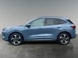 Used 2024 Ford Escape ST-Line Elite w/ Premium Technology Package image 4