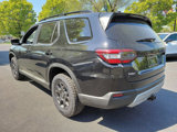 New 2025 Honda Pilot TrailSport image 3