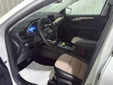 Certified 2022 Ford Escape Titanium w/ Titanium Elite Package image 2