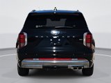 New 2025 Hyundai Palisade Calligraphy image 6