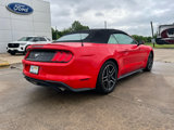 Used 2022 Ford Mustang Premium image 5