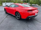New 2025 Ford Mustang Coupe image 5