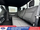 New 2025 Ford F150 XLT w/ Equipment Group 302A MID image 5