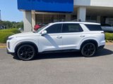 New 2025 Hyundai Palisade XRT image 2