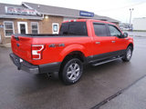 Used 2019 Ford F150 XLT w/ Equipment Group 302A Luxury image 5
