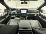 New 2025 Ford F150 XLT w/ Equipment Group 303A High image 2