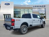 New 2025 Ford F250 Platinum image 4