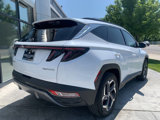 Used 2024 Hyundai Tucson Limited image 5