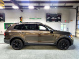 Used 2023 Kia Telluride SX Prestige X-Pro image 5
