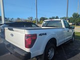 New 2024 Ford F150 XL image 5