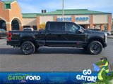 New 2025 Ford F250 Platinum image 4