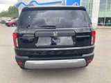 New 2026 Honda Passport RTL image 4