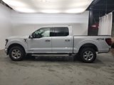 New 2025 Ford F150 XLT w/ Equipment Group 302A MID image 4