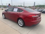 Used 2019 Ford Fusion SE image 3