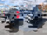New 2025 Ford F250 Platinum image 5