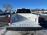 New 2025 Ford F150 STX w/ STX Black Appearance Package image 5
