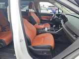 Used 2024 Kia Carnival SX image 6