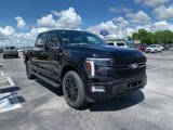 New 2025 Ford F150 Platinum w/ Equipment Group 702A High image 3