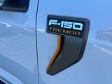 New 2025 Ford F150 Tremor image 5
