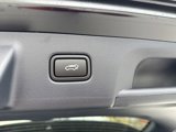New 2025 Hyundai Palisade Calligraphy image 6