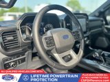 Certified 2023 Ford F150 XLT w/ Equipment Group 302A High image 2