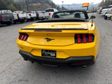 Used 2024 Ford Mustang Convertible w/ Mustang Nite Pony Package image 3