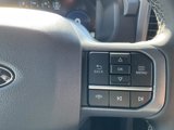 New 2025 Ford F150 XLT w/ Equipment Group 302A MID image 6