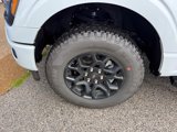 Used 2025 Ford F150 XLT w/ Equipment Group 302A MID image 2