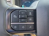 New 2025 Ford F350 Platinum image 5
