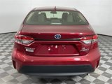 Certified 2023 Toyota Corolla LE image 6