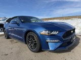Used 2022 Ford Mustang Premium image 2