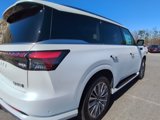New 2025 INFINITI QX80 Sensory image 5