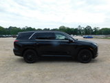 New 2025 Hyundai Palisade Calligraphy image 4