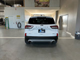 Used 2020 Ford Escape SE image 4