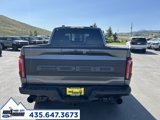 New 2025 Ford F150 Raptor image 5