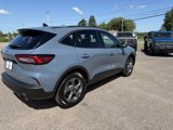 Used 2025 Ford Escape ST-Line w/ Tech Pack #1 image 6